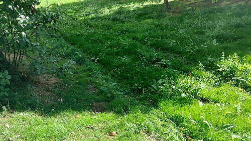 A picture of flooding land at Vara Close